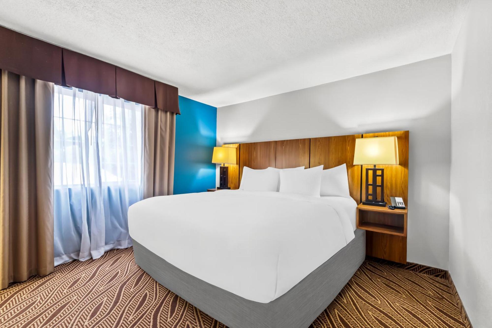 Quality Inn & Suites Airport North - Stone Oak San Antonio Bagian luar foto
